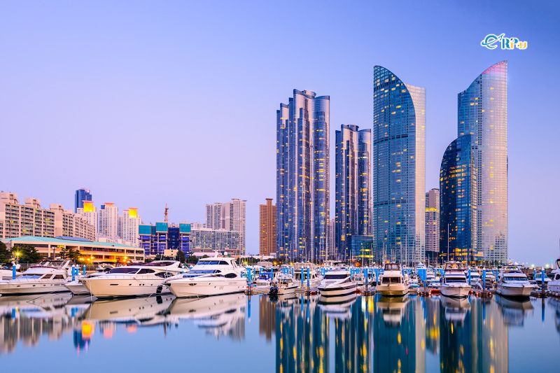 Phương tiện di chuyển tại Busan