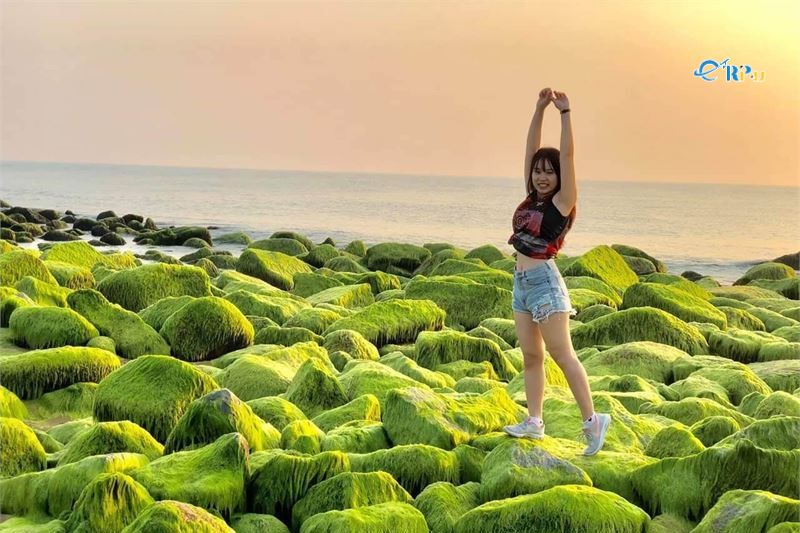 B&atilde;i Đ&aacute; R&ecirc;u Xanh Nhơn Hải