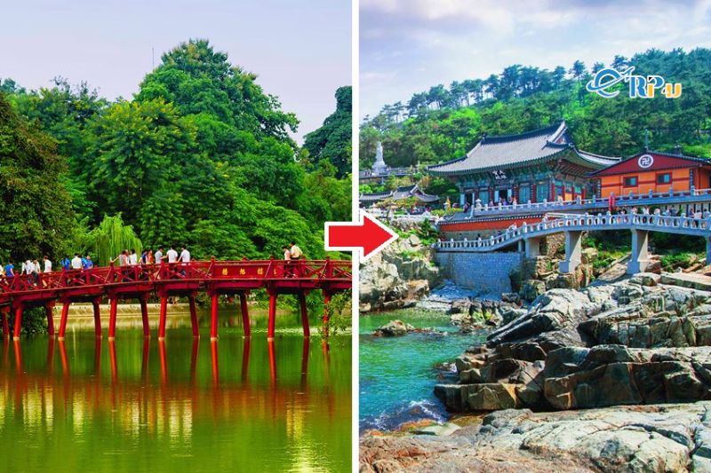 Chặng Hà Nội - Busan