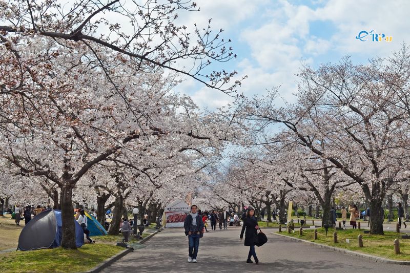 Công viên Osaka Expo 70