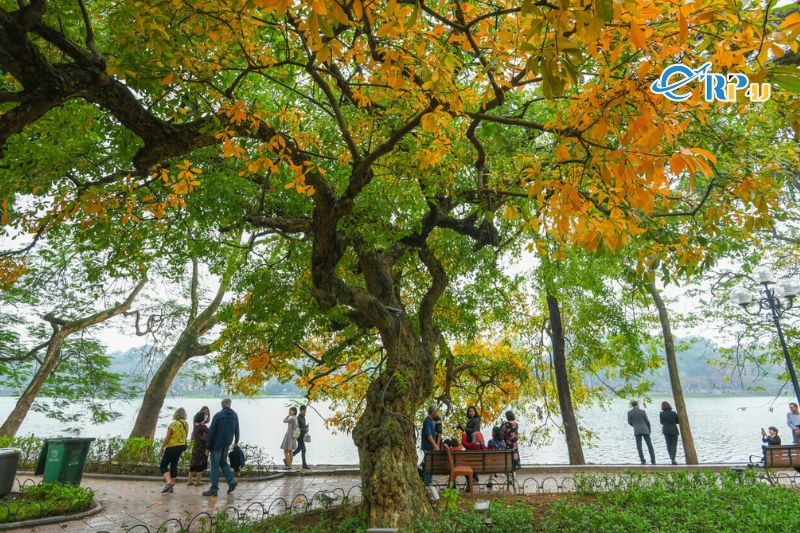 Du lịch Hà Nội mùa nào đẹp nhất trong năm?