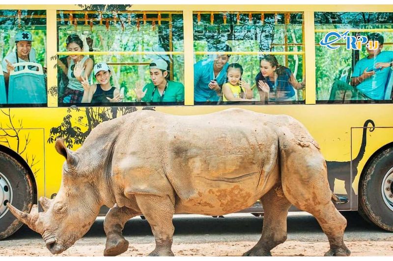 Nhốt người thả thú tại Vinpearl Safari