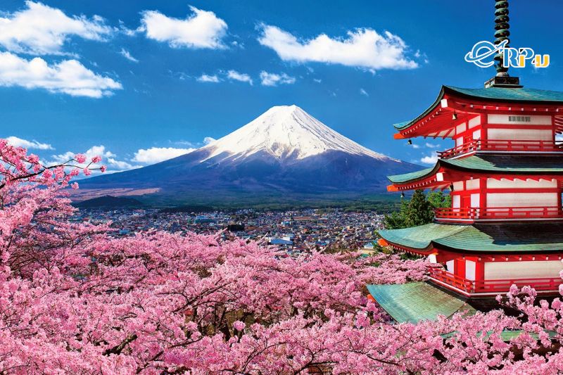 Du lịch Nhật Bản mùa nào đẹp nhất trong năm