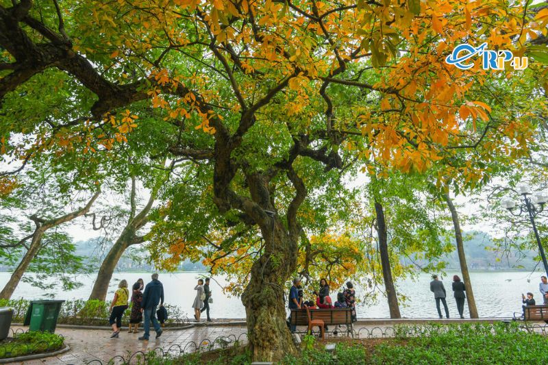 Du lịch Hà Nội mùa nào đẹp nhất trong năm?