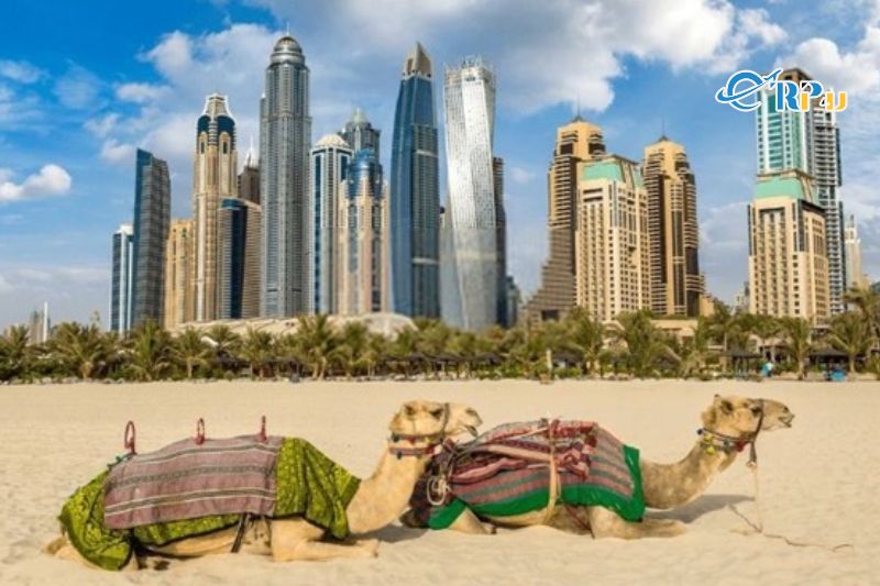 Đi tour du lịch Dubai cần bao nhi&ecirc;u tiền&nbsp;