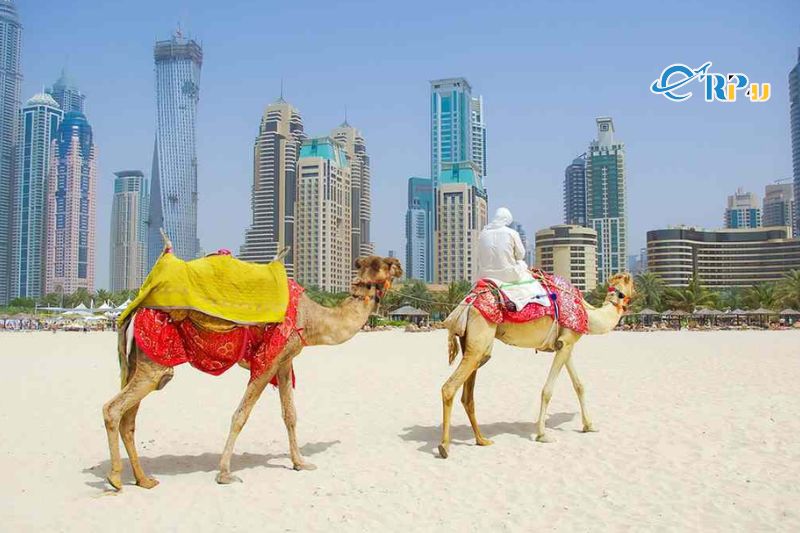 Tour Dubai 6 ng&agrave;y 5 đ&ecirc;m&nbsp;