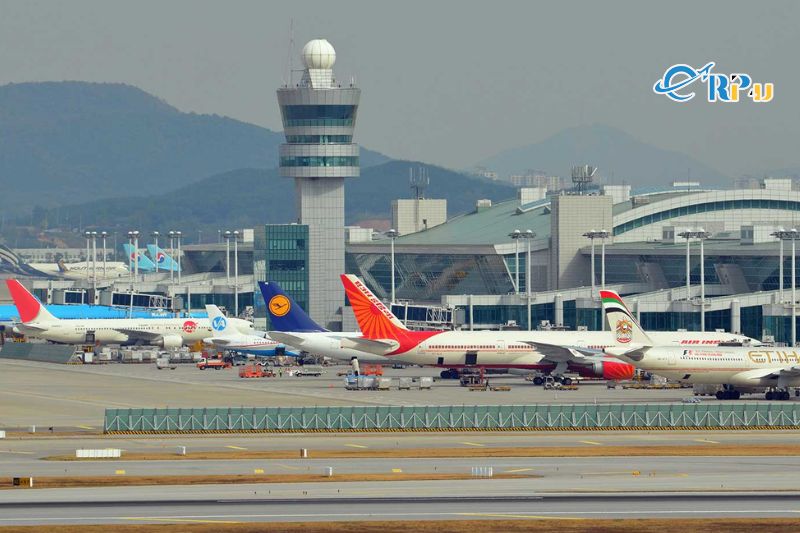 Phương tiện di chuyển đến Hàn Quốc 