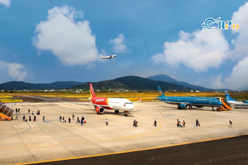 Hãng hàng không nào đang khai thác chuyến bay Đà Lạt  - Đà Nẵng