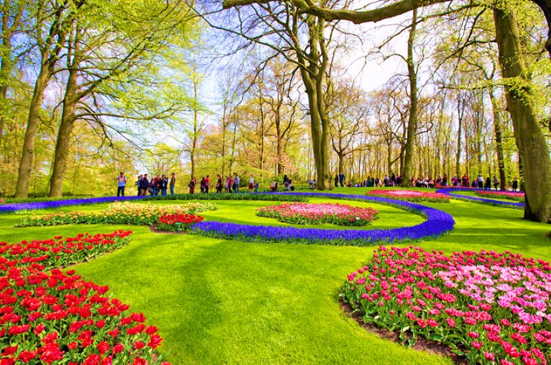 Điểm danh các lễ hội đặc sắc không nên bỏ lỡ khi tới Hà Lan Điểm danh các lễ hội đặc sắc không nên bỏ lỡ khi tới Hà Lan