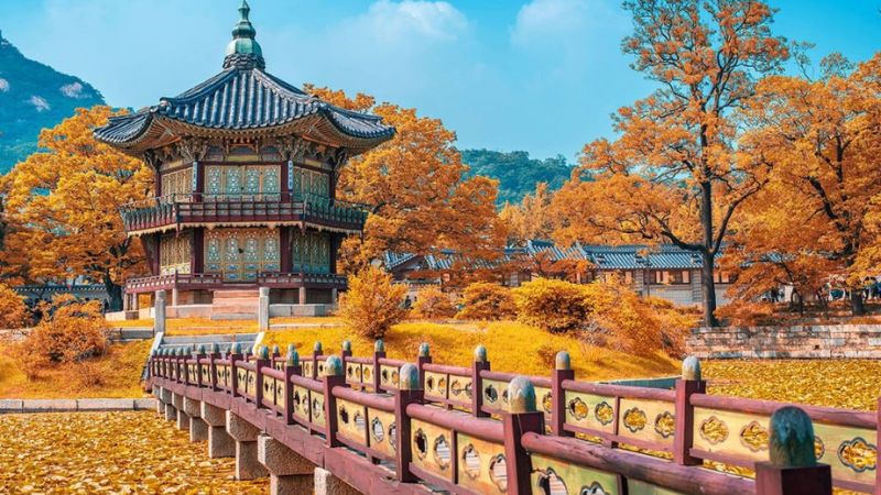 Nên đi du lịch Hàn Quốc vào mùa nào trong năm? Nên đi du lịch Hàn Quốc vào mùa nào trong năm?