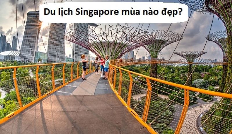 Nên đi du lịch Singapore vào mùa nào trong năm? Nên đi du lịch Singapore vào mùa nào trong năm?