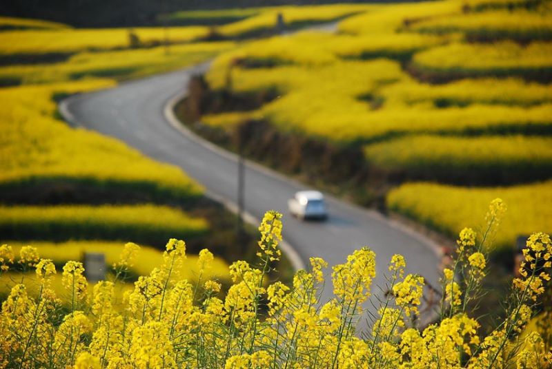 Thời điểm đẹp nhất để du lịch La Bình Thời điểm đẹp nhất để du lịch La Bình