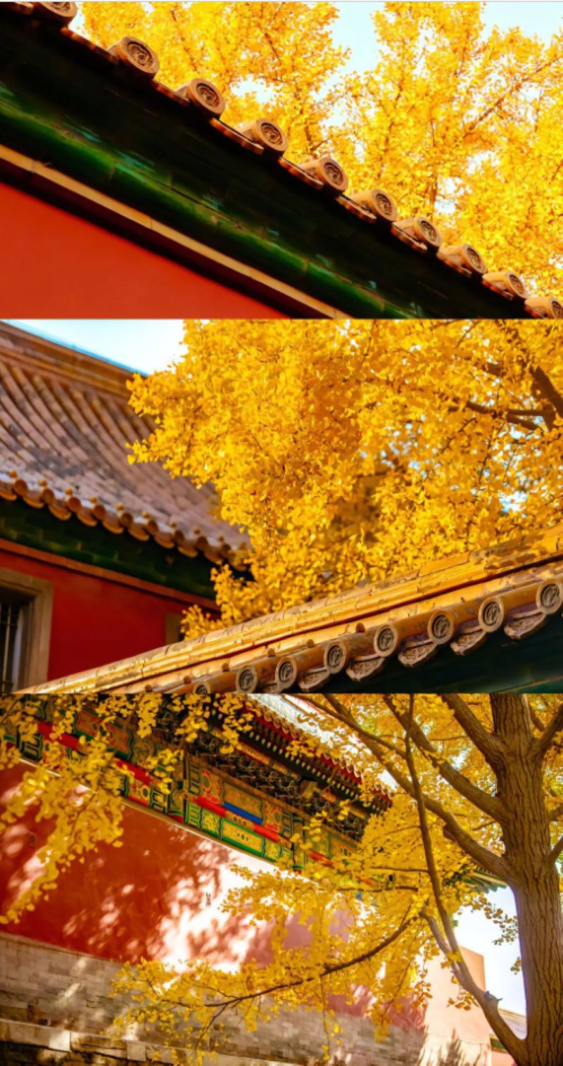 Thời điểm đẹp nhất để du lịch Lạc Dương Thời điểm đẹp nhất để du lịch Lạc Dương