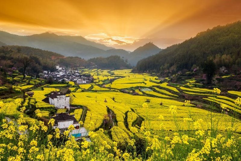 Làng cổ Vụ Nguyên có lịch sử hơn 1.300 năm