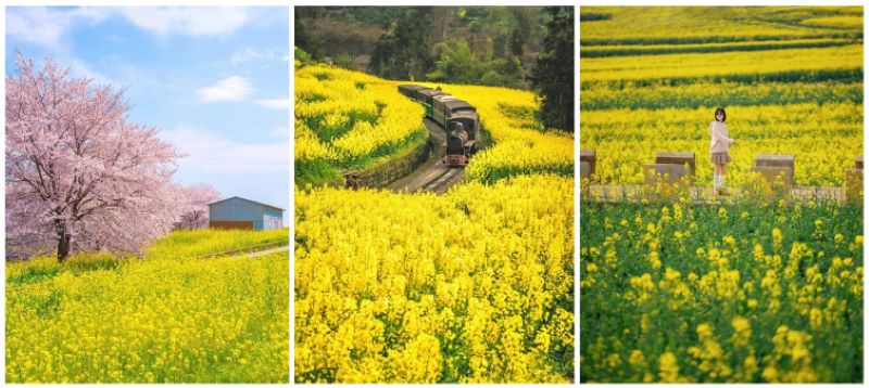 Những địa điểm đẹp ở La Bình Những địa điểm đẹp ở La Bình