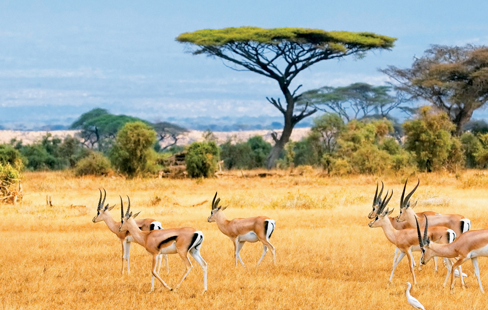 Những lưu ý khi du lịch tại Nam Phi Những lưu ý khi du lịch tại Nam Phi