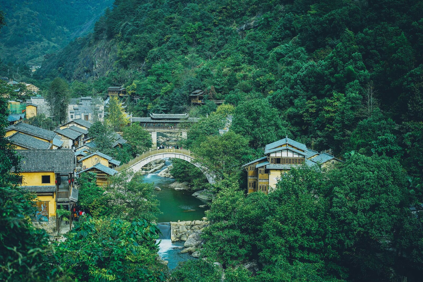 Mùa xuân Vọng Tiên Cốc ngập trong sắc xanh của chồi non Mùa xuân Vọng Tiên Cốc ngập trong sắc xanh của chồi non