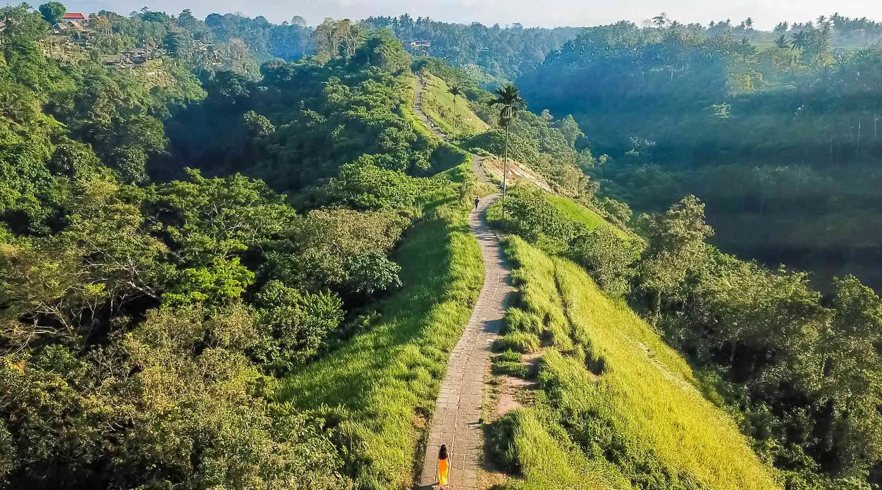 Đi đến Rừng khỉ Ubud (Bali) như thế nào?