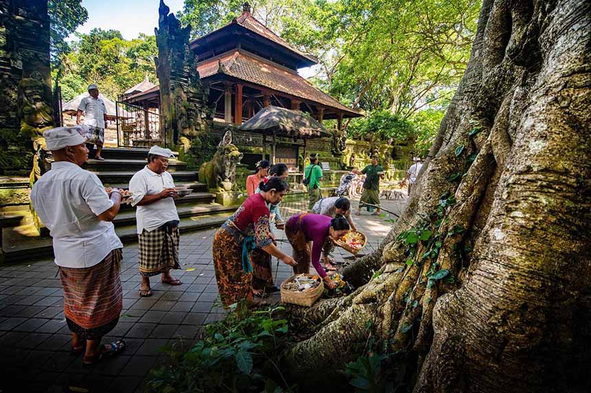Làm gì khi đến Rừng Khỉ Ubud?