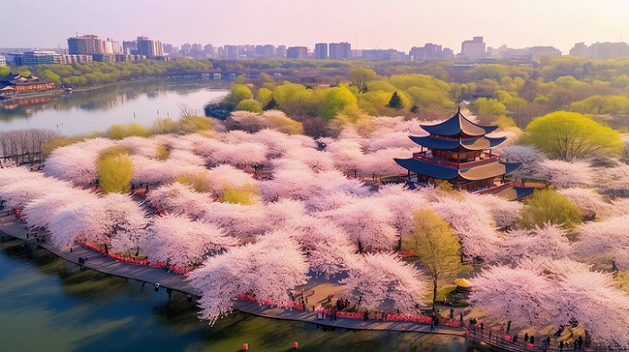 Khu thắng cảnh Đình Đào Đông Hồ Khu thắng cảnh Đình Đào Đông Hồ