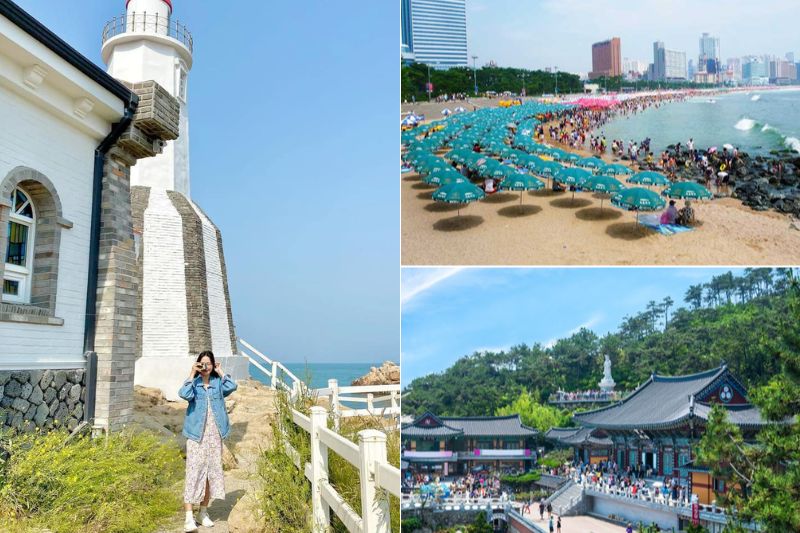 Ăn gì khi đi du lịch Busan