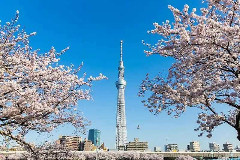 Giới thiệu chung về du lịch Tokyo