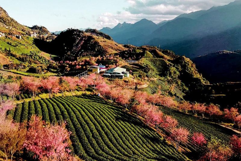 Sa Pa - Miền đất mờ sương