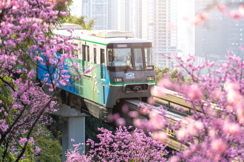 Phương tiện di chuyển tại Trùng Khánh