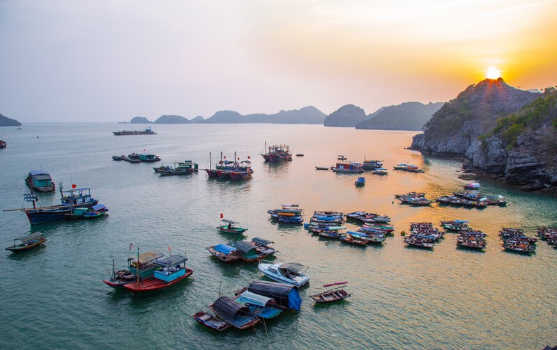 Các tour du lịch du thuyền Vịnh Lan Hạ sẽ hỗ trợ đưa đón trọn gói Các tour du lịch du thuyền Vịnh Lan Hạ sẽ hỗ trợ đưa đón trọn gói