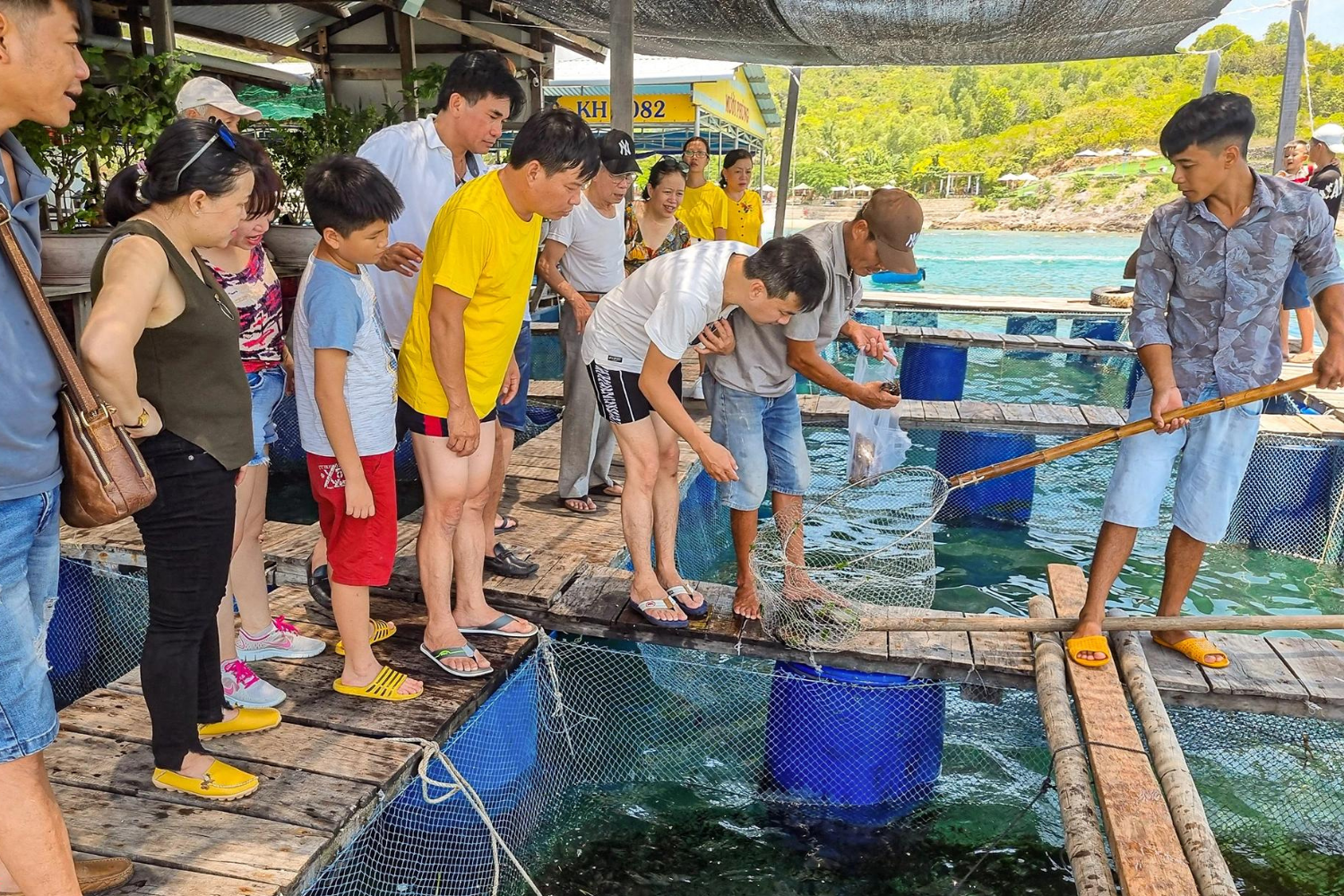 Trải nghiệm thưởng thức hải sản tươi ngon đầy thú vị Trải nghiệm thưởng thức hải sản tươi ngon đầy thú vị