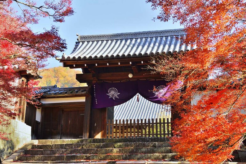 Ngôi đền Rurikoin chỉ mở 2 lần: Mùa Xuân và mùa Thu Ngôi đền Rurikoin chỉ mở 2 lần: Mùa Xuân và mùa Thu