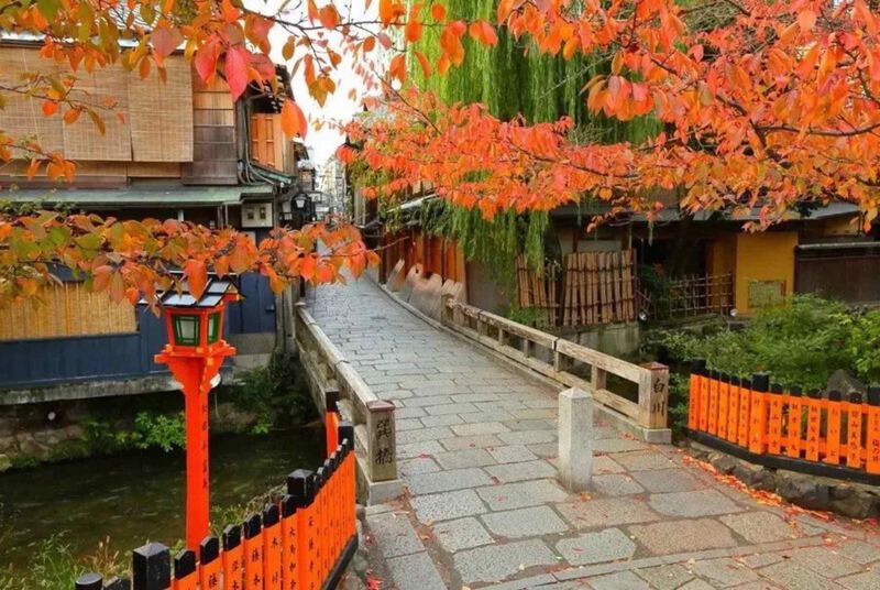 Săn ảnh lá vàng ở các con phố cổ