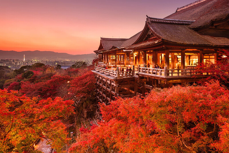 Chùa Kiyomizu thời điểm lên đèn Chùa Kiyomizu thời điểm lên đèn