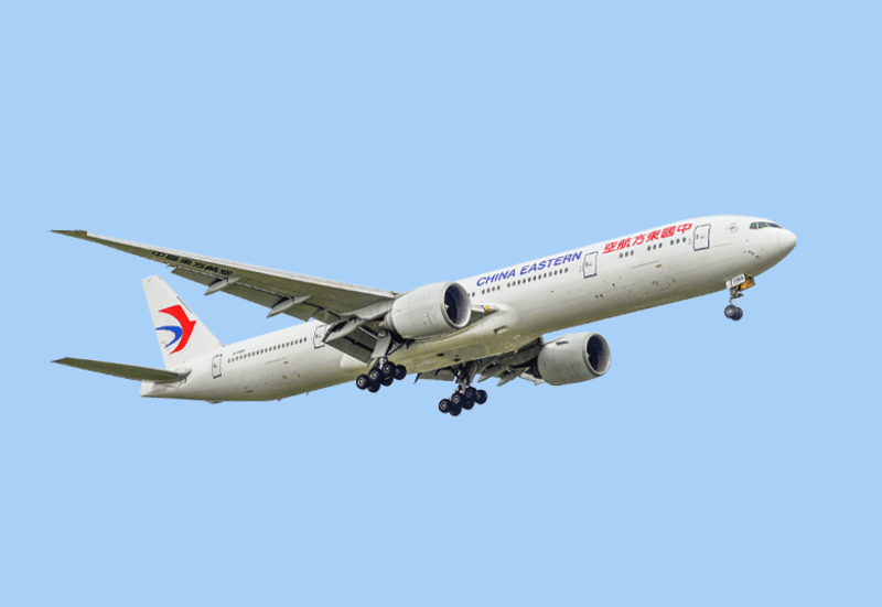 Chuẩn bị sẵn vé và biên lai đặt phòng khi cần xuất trình Chuẩn bị sẵn vé và biên lai đặt phòng khi cần xuất trình