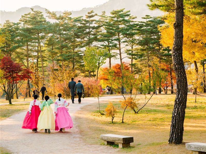 Đảm bảo đủ đồ dùng khi du lịch Hàn Quốc sẽ giúp chuyến đi trọn vẹn hơn Đảm bảo đủ đồ dùng khi du lịch Hàn Quốc sẽ giúp chuyến đi trọn vẹn hơn