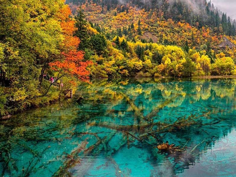 Sự rực rỡ của cảnh sắc khi vào thu Sự rực rỡ của cảnh sắc khi vào thu