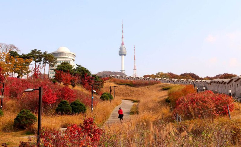 Đường lên Núi Namsan phủ kín lá vàng
