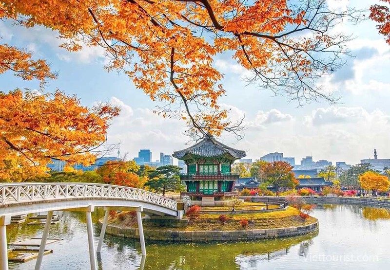 Cung điện Gyeongbokgung trong chiếc áo mùa thu
