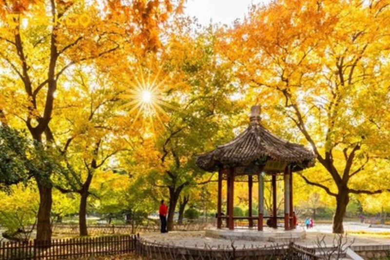 Công viên Hương Sơn mùa thu Công viên Hương Sơn mùa thu