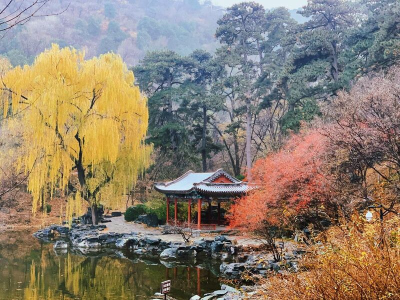 Di Hòa Viên mùa thu Di Hòa Viên mùa thu