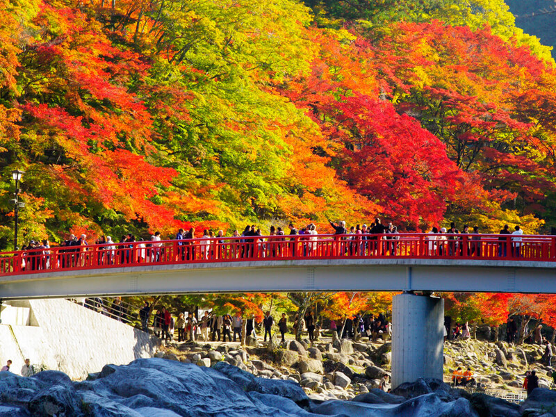 Thủ đô Tokyo hiện đại nhưng đầy thơ mộng