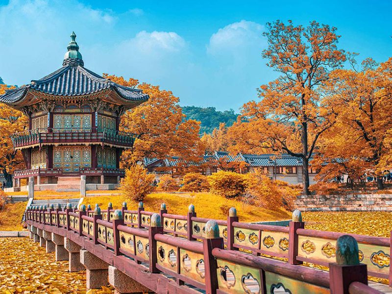 Tháng 10 - tháng 11 là thời điểm rực rỡ nhất của mùa thu Hàn Quốc Tháng 10 - tháng 11 là thời điểm rực rỡ nhất của mùa thu Hàn Quốc