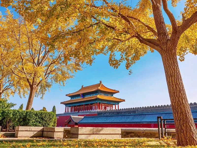 Tips chụp ảnh lá đỏ Bắc Kinh mùa thu Tips chụp ảnh lá đỏ Bắc Kinh mùa thu