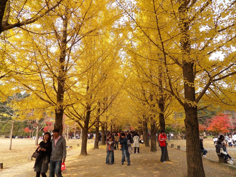 Hòn đảo Nami không thể bỏ lỡ, lãng mạn như những bộ phim truyền hình