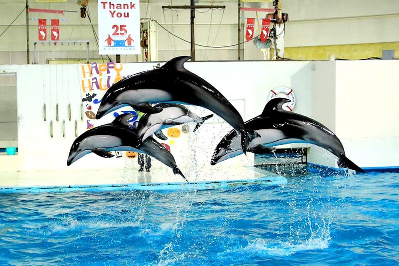 Công viên hải dương Noboribetsu Nixe