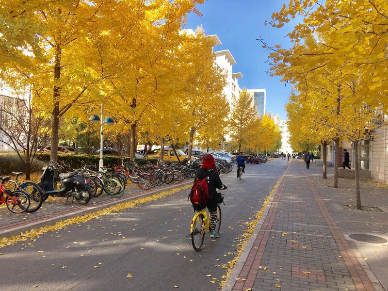 Tour Bắc Kinh - Thượng Hải mùa thu Tour Bắc Kinh - Thượng Hải mùa thu