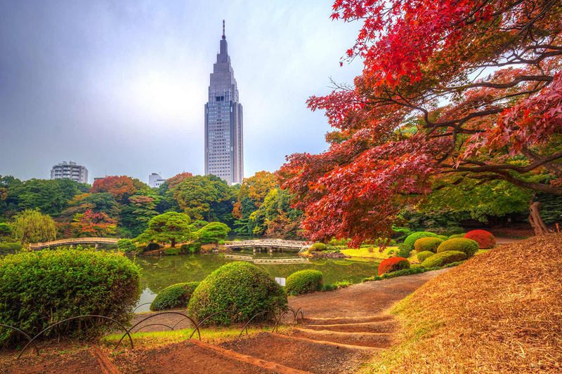 Công viên Shinjuku Gyoen mùa thu