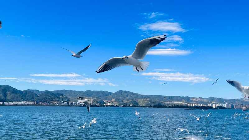 Hồ Điền Trì Côn Minh Hồ Điền Trì Côn Minh