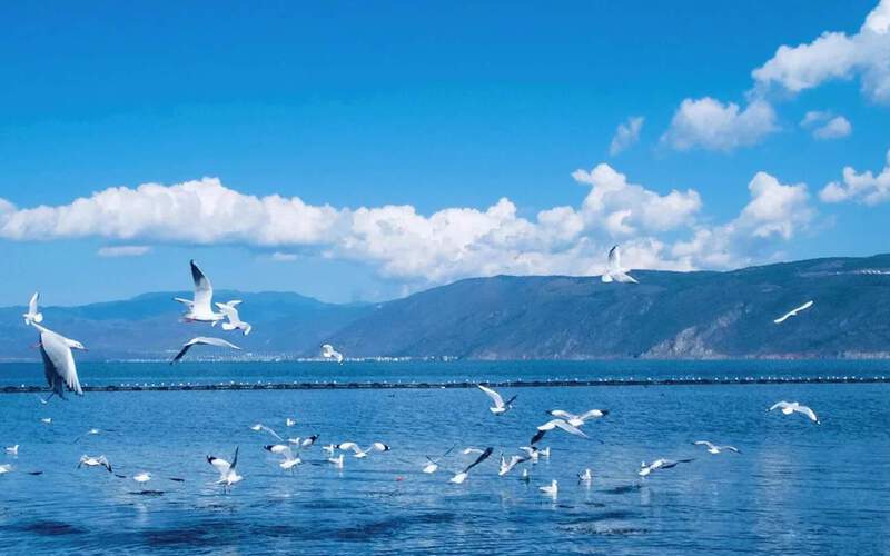 Hồ Điền Trì Côn Minh