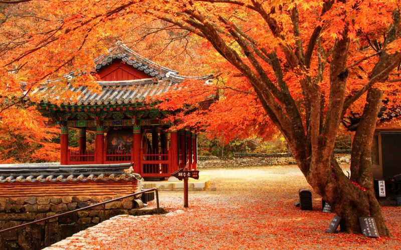 Mùa thu Nhật Bản Mùa thu Nhật Bản